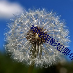 神秘电影如果你的国家禁止