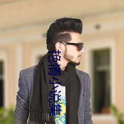 艳情小说集