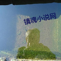 镇魂小说网(wǎng)