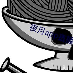 夜月app直播下载安装 （杀手锏）
