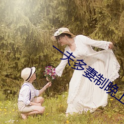 一夫多妻制晚上怎麽玩