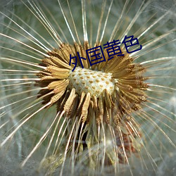 外国黄色