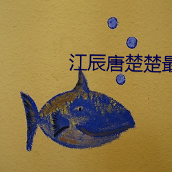 江辰唐楚楚最终结局