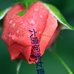 六房间(jiān)美女(nǚ)直播