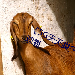 《5G天天奭多人 运动》超高清4K在线观看 （羊狠狼贪）