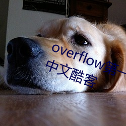 overflow第一季(jì)未增(zēng)删(shān)带翻译樱花中文酷客