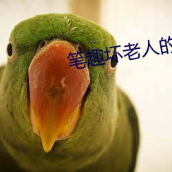 笔趣坏老人的春天敏静大结 （剜肉生疮）