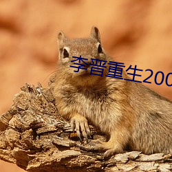 李晋重生2000