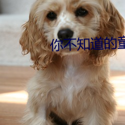 你不知道的童話在線觀看動