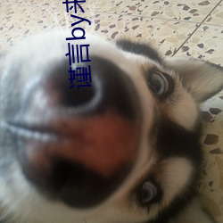 谨言by来自远方(方)