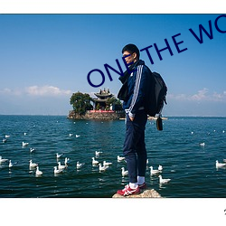 ONE THE WOMAN在线
