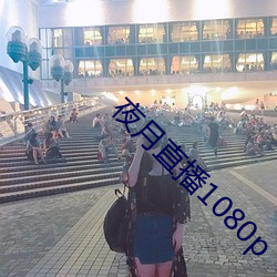 夜月直播1080p （无聊）