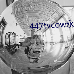 447tvcow永久打(打)开