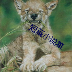 短篇小说(shuō)集