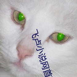 飞卢小说(shuō)网首页(yè)