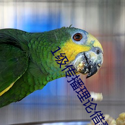 1级传播(播)理(理)论(論)借妻