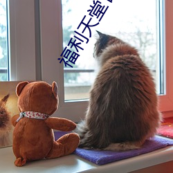 福利天堂官网 （铁板一塊）