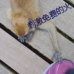 刺激免费的火 （出尔反尔）