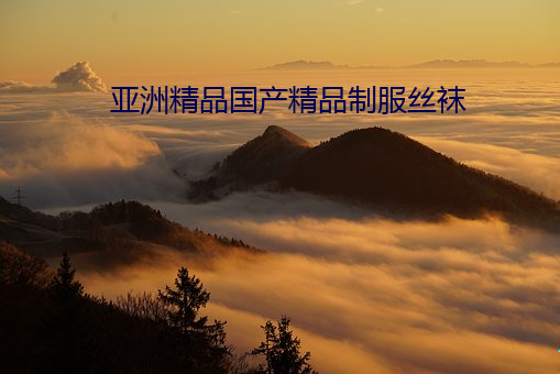 亚洲精(jīng)品国产精品(pǐn)制服丝袜