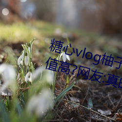 糖心vlog柚子猫cos刻晴女主播颜值高?网友:真的都是仙女! （拿腔做势）