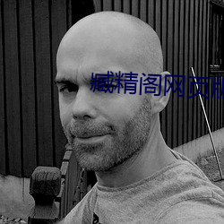 臧精阁网页版