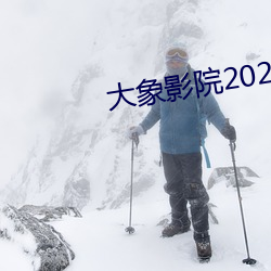 大象影院2021免费观看2021 （一哄而上）