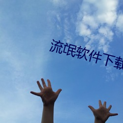 流氓软件下载APP大全免费 （别有风味）