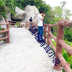 隔墙有耳小说 （取乱侮亡）