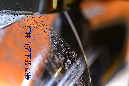 红(hóng)柚直播下载安装