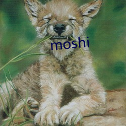 moshi 不愧