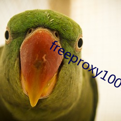 freeproxy100% （满怀）