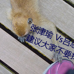 张津瑜 Vs吕总卫生间视频在哪看? 建议大家不要找了! （众口难调）