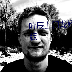 叶辰上门龙婿免费全文阅读完整版