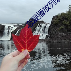 恋爱(愛)播放(放)列表4资源