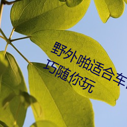 野外啪適合車內雙人運動的姿勢和技巧隨你玩