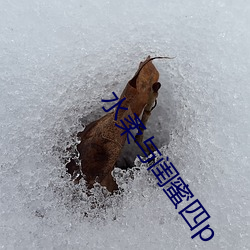 金年会 | 诚信至上金字招牌