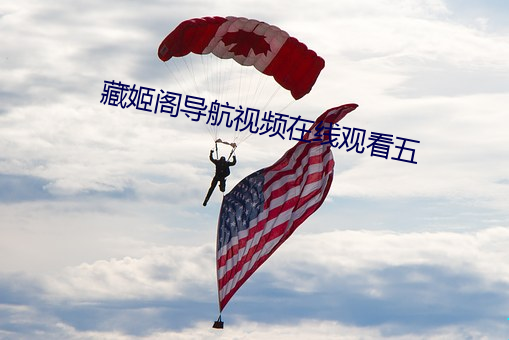 藏姬阁导航视频在线观看五