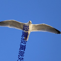 寂寞寂寞就好 （冰窖）