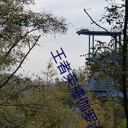 王者榮耀伽羅流水