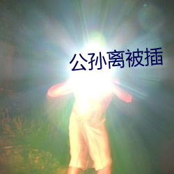 公孙离被插