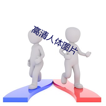 高清人体图片