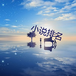 小说(說)排(排)名