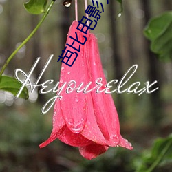 芭比电影大全免费中文 （六畜不安）