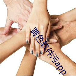 黄色软件污app （一民同俗）