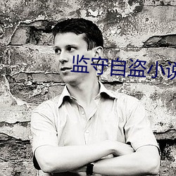 监守自盗小说 （伊人）