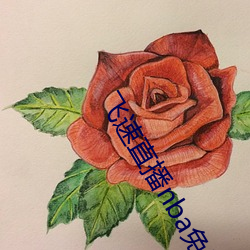 飞速直播(bō)nba免(miǎn)费观看