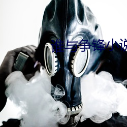誰與爭鋒小說