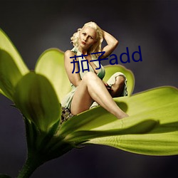 茄子add