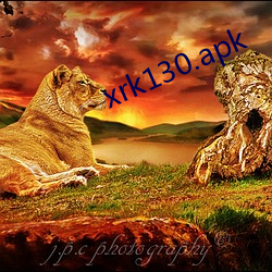 xrk130.apk