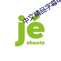 中文精品字幕電影在線播放